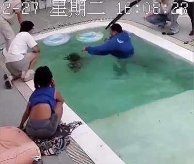 KEVIN YOU CANNOT SWIM STOP