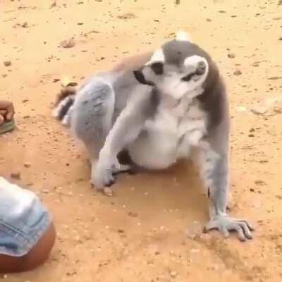 Wrong spot. You need to move it, move it.