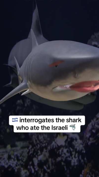 Khamas is now recruiting sharks🤯🤯