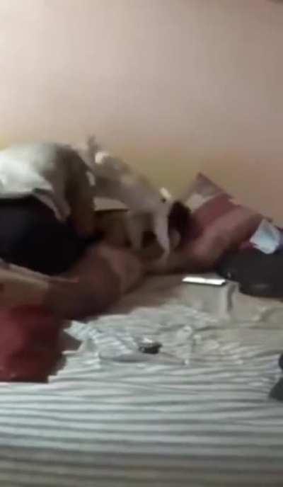 Going for the jugular