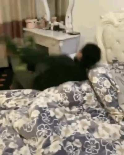 what a way to wake up