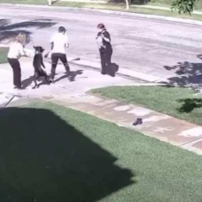 WCGW owning an animal I can't control