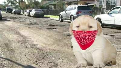 le wacky and uncharacteristic game has arrived