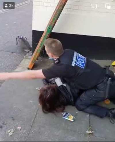 The end is pure satisfaction