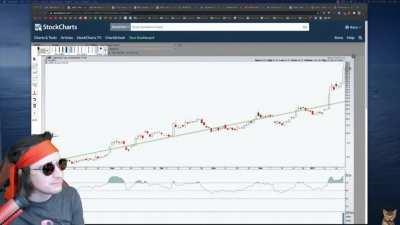 Roaring Kitty on IV Rank (<3 this guy)