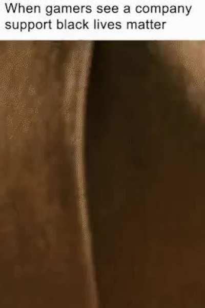 When gamers see a company support black lives matter