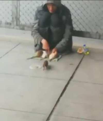 Me playing with my pet rat