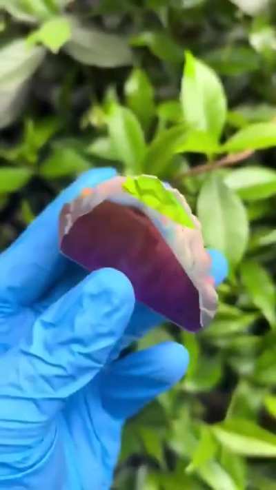 It's titanium vapor deposited on quartz