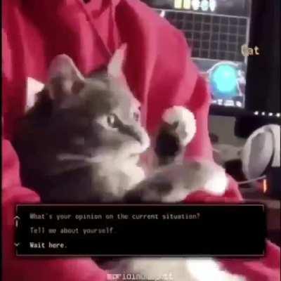 Esses npcs estão cada vez mais realistas