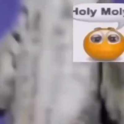 Iâm not gonna flood the server again mods I swear