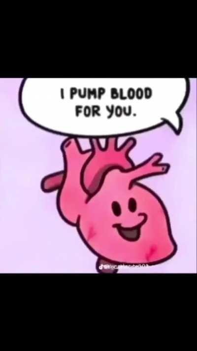 BeelcitosMemes - Video #5263