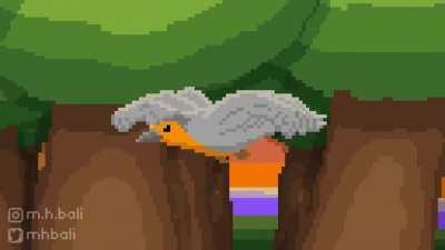 One Buff Birb - The secret to Buffness!!