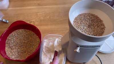 Home milled flour for starter feedings. Best way to create and maintained a strong starter. Whole grains have the yeast and bacteria that you need to make a strong starter.