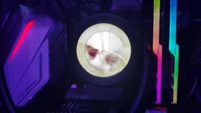 How to make ur Intel 10th Gen Faster (100% Safe) „No animal were Hermes in the making of this film”