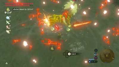 Gold lynel gets DISCOMBOBULATED by the boomerang guy