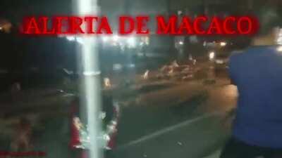 ALERTA DE MACACO