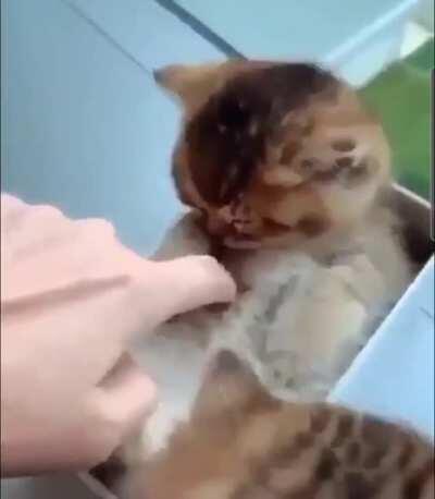 Hey stop disturbing! I wanna sleep!