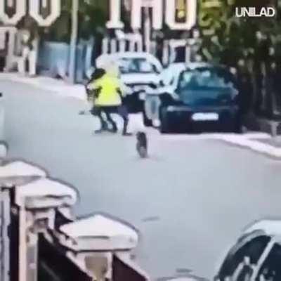 Dog saves woman from being kidnapped