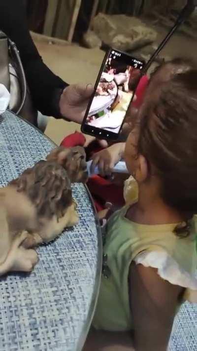 Stuck In the Time Loop