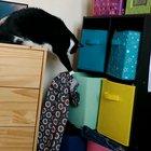 Personal closet organizer decides that one shirt just HAS to go