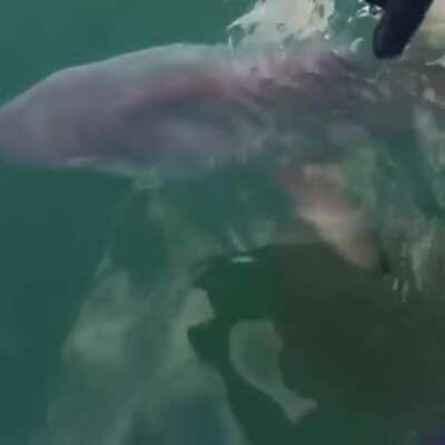 Don't lean over too much