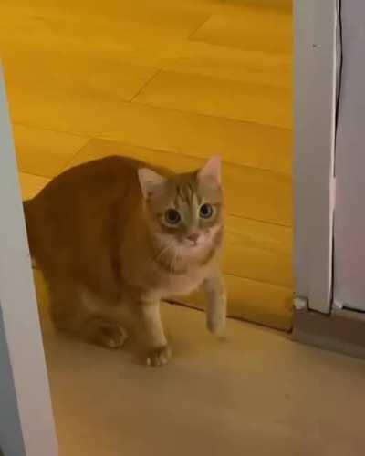 What happens when you're not at home.