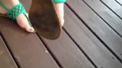 Crush sandal flat thong amateur