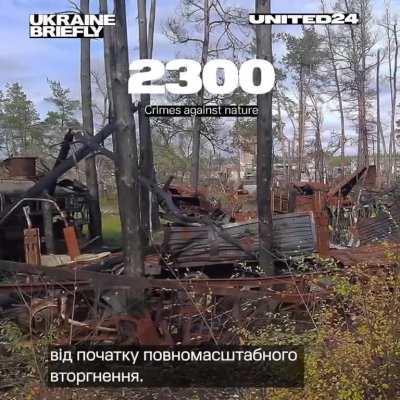 The Russians have already occupied twenty nature reserves in Ukraine. Parks, where rare species of animals and plants should be protected, they turn into hunting grounds, mines and parking lots for tanks.