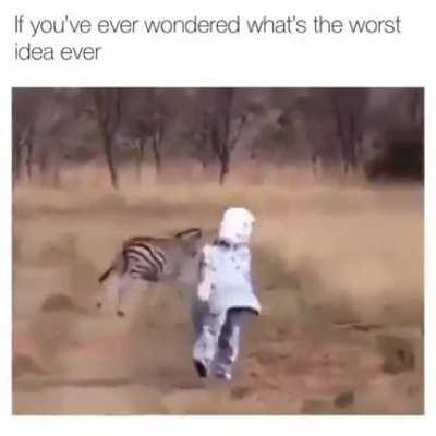 WCGW dressing up like a zebra in a jungle