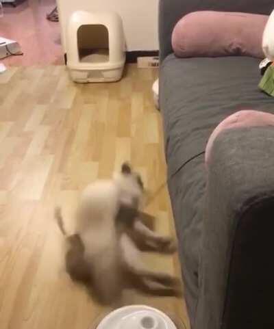 GET IT OFF!!! (u/cyan1618)