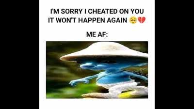 we live we love we lie