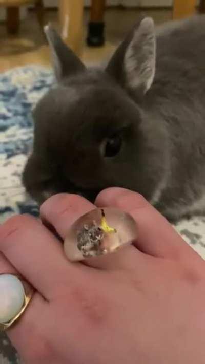 I had a ring of my boy made! He seems interested..