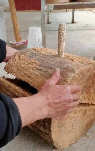 Cracking a hornets trap