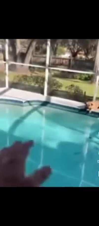 Wth is even going on