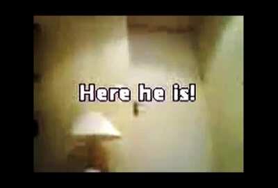 peter griffin (family guy) gets angry at me and my brother