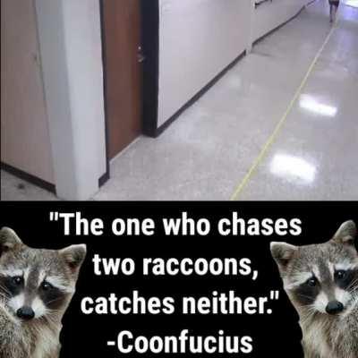 How They Continue To Elude Us