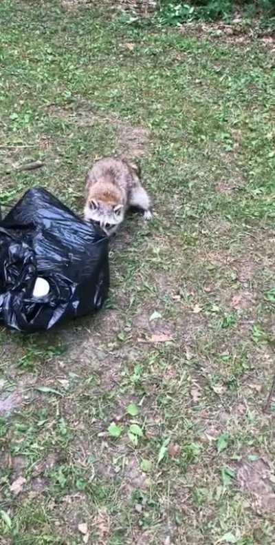 Thanks, this is mine now!