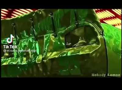 Mi pana el verde te queda mejor 🤙🏻