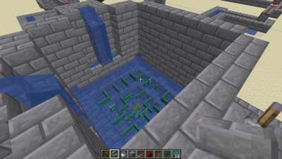 Bamboo Vortex | July 20th 2023