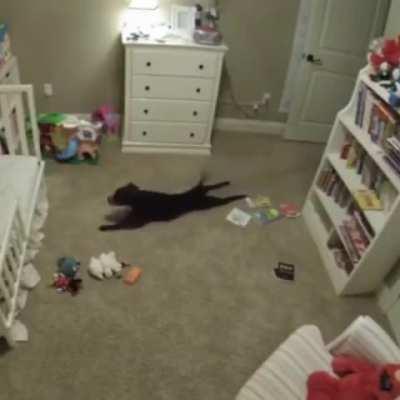 This is what it looks like when a dog enters a room he knows he's not supposed to be in.