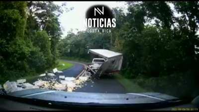 Hundreds of dead chicks 🐤 as a result of this crash