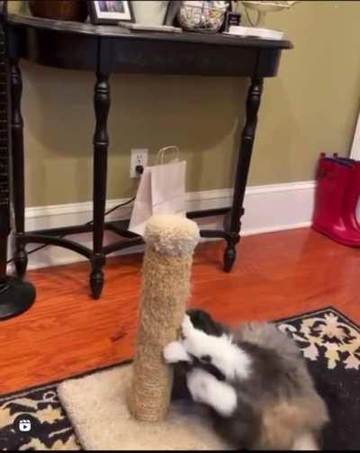 This is a great post