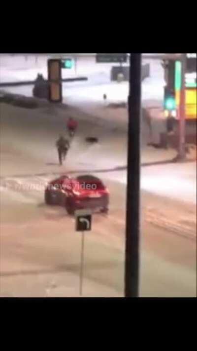 Police dog jumps in snow instead of on perp during snowy chase in Edmonton