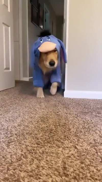 Here comes the boy 🥰