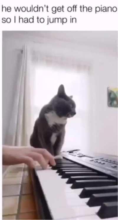 If life gives you lemons