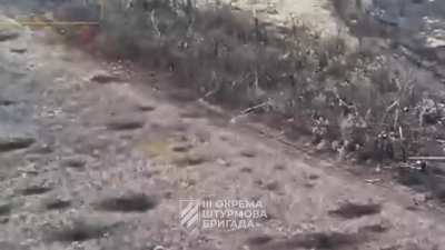Russian Assault Captures a Forest Line but Is Then Annihilated by Ukrainian Drones and Artillery