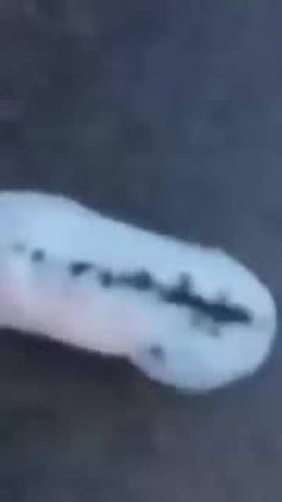 I'm just going to leave this here.