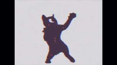 Vibin cat goes to jail