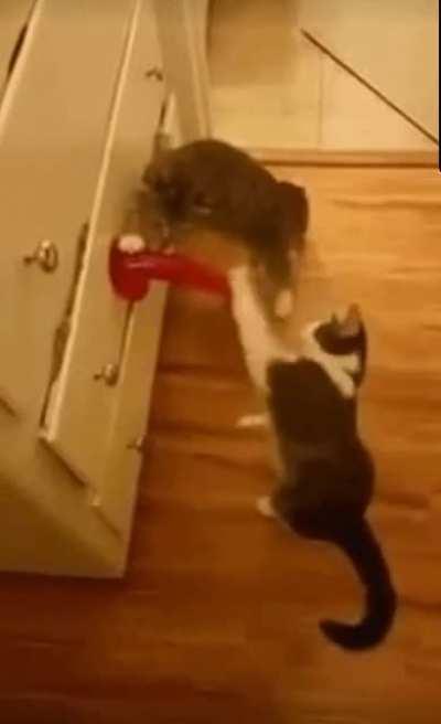 This is not what i googled NSFW