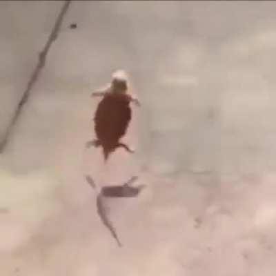 Jeannie running away when Henry told to record one more video. =)